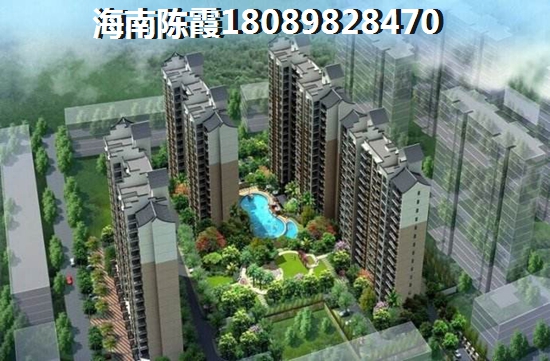 六艺王宫有什么优势？