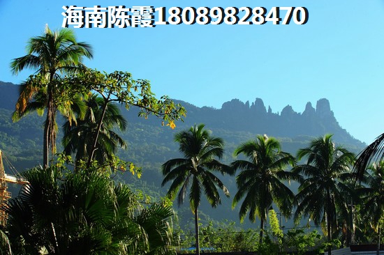 五指山檀溪养老配套+房价分析