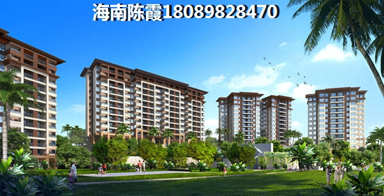 五指山的房子有touzi价纸吗？2
