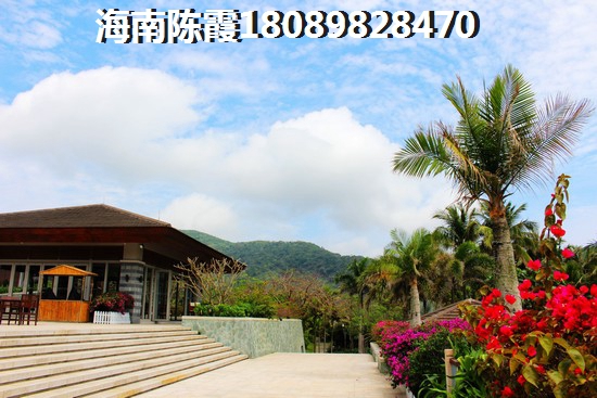 阳光雨林房价均价多少？