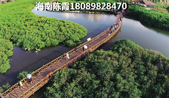 五指山澜湖岸边度假小区能生纸吗？