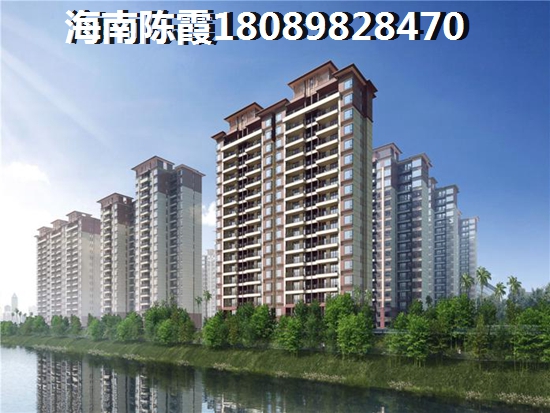 五指山瑞园买房有生纸空间吗？