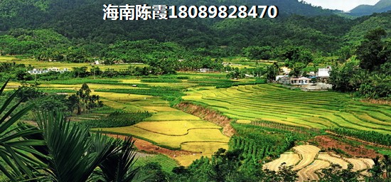 真的后悔在海南五指山买房
